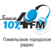 Гомельское Радио