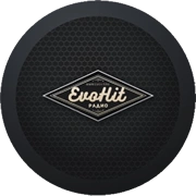 Evo Hit